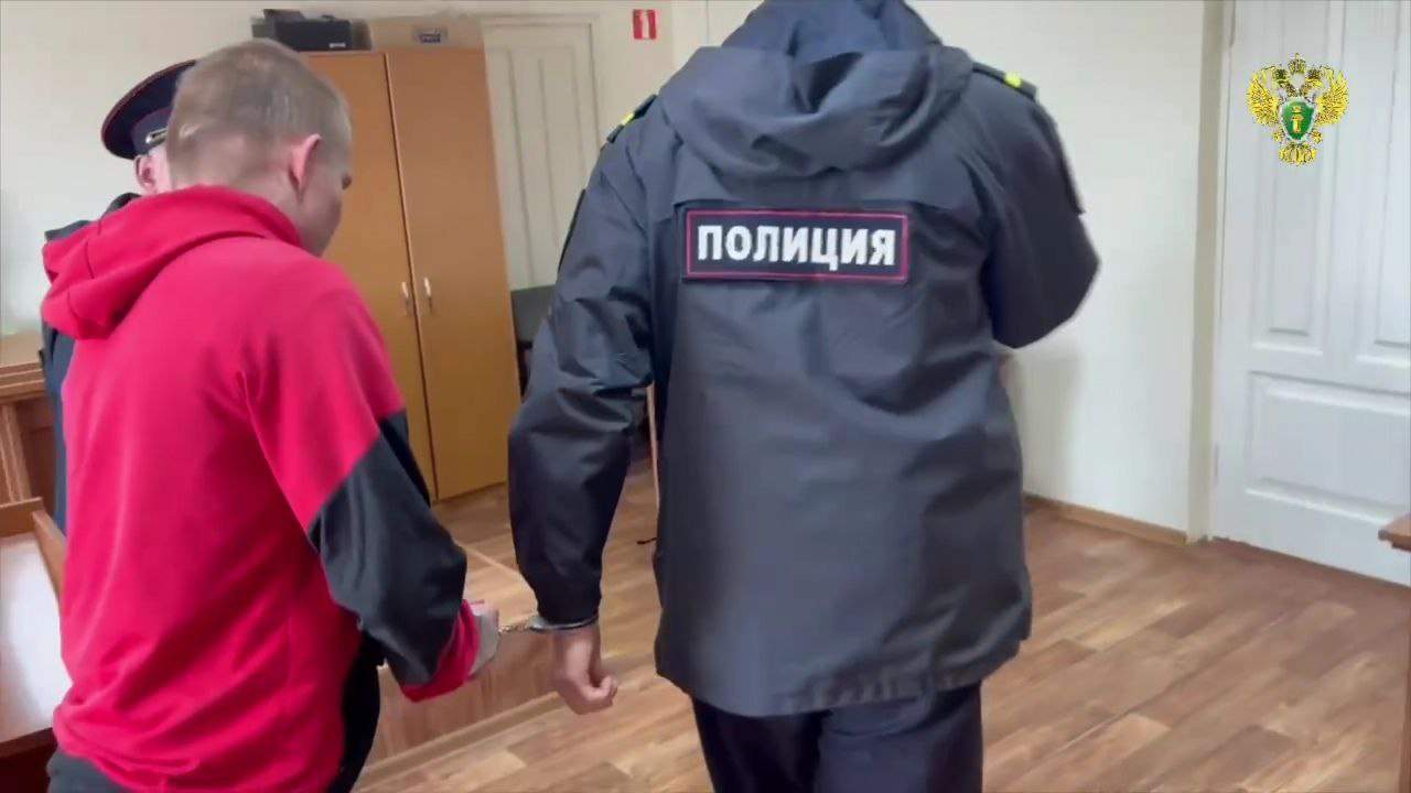 Житель Дальнереченска отправится в колонию за продажу «воздушного» авто