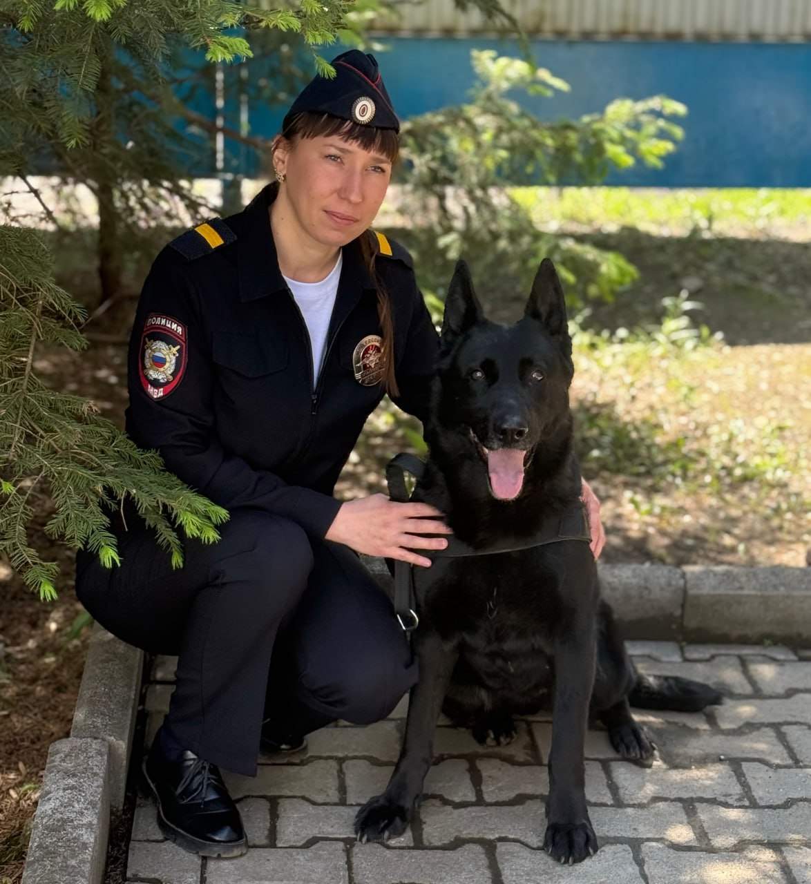 Четвероногий детектив раскрыл кражу в Пограничном округе 
