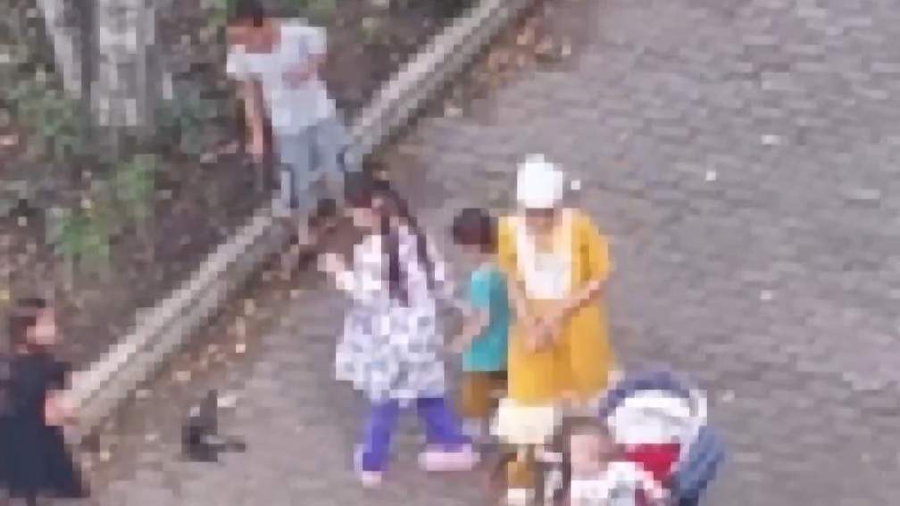 В Уссурийске родители ответят за жестокость детей к голубю
