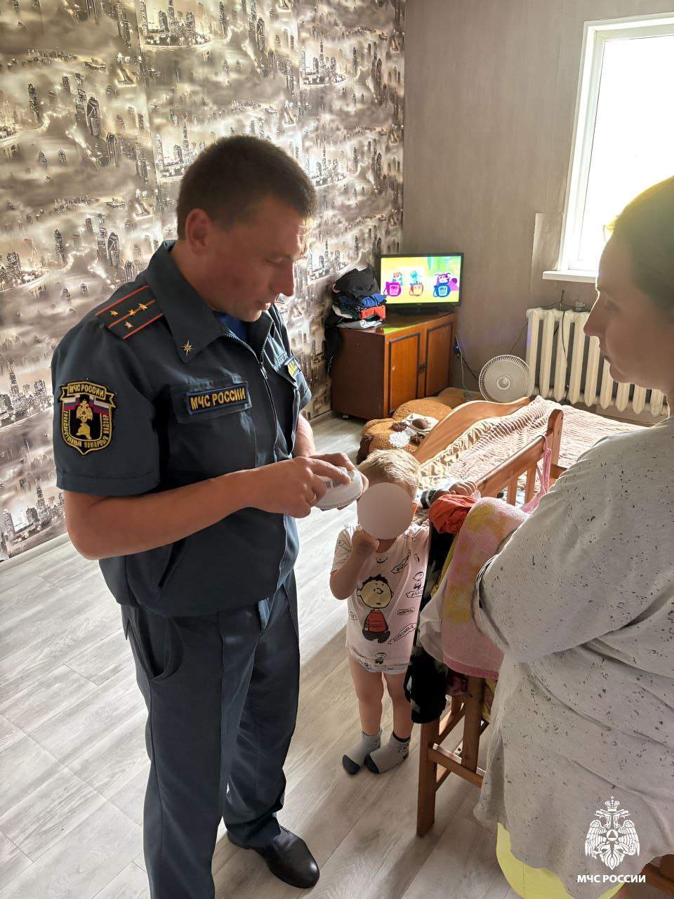 В Хорольском округе сотрудники МЧС поставили специальную защиту в 20 домах