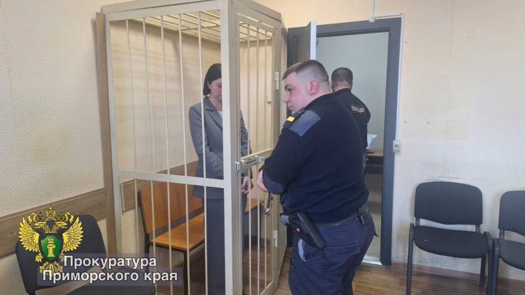 В Арсеньеве инженера осудили дважды за кражу четырёх участков