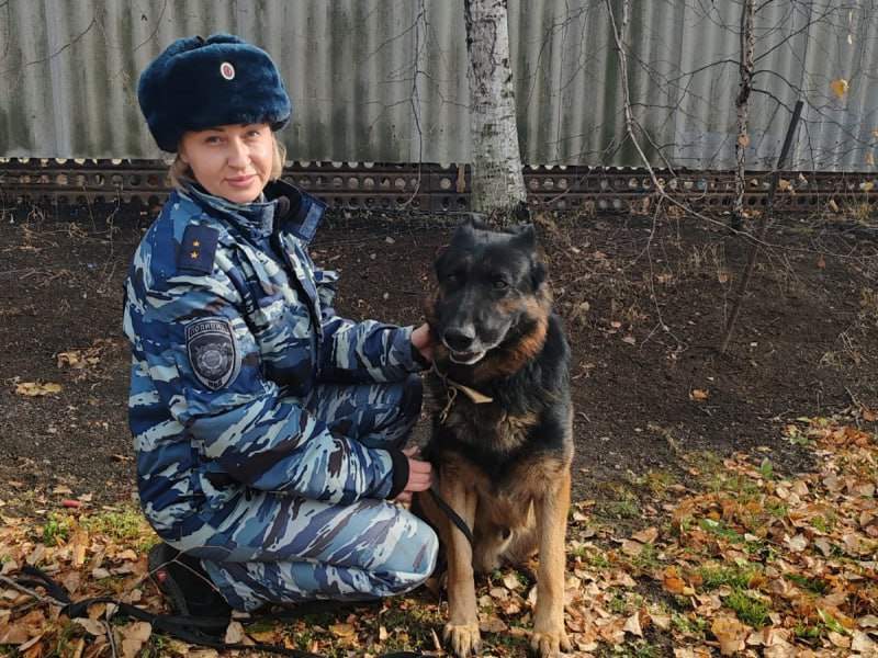 В Хорольском округе собака раскрыла настоящее преступление 