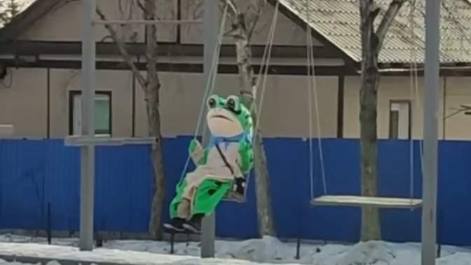 В Уссурийске заметили гигантскую анфибию, уныло качающуюся на качелях