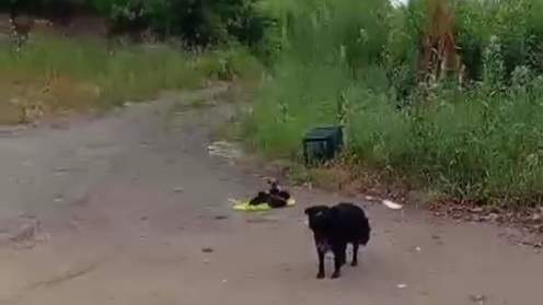 В Находке бросили мать с новорожденными на произвол судьбы