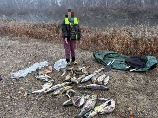 В Хасанском районе браконьеры попали в сети закона 