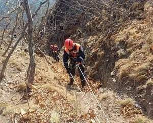 Фото: Управление по делам ГО и ЧС