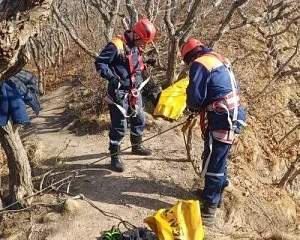 Фото: Управление по делам ГО и ЧС